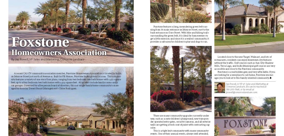 Community Spotlight - Foxstone