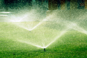 Current Water Restrictions