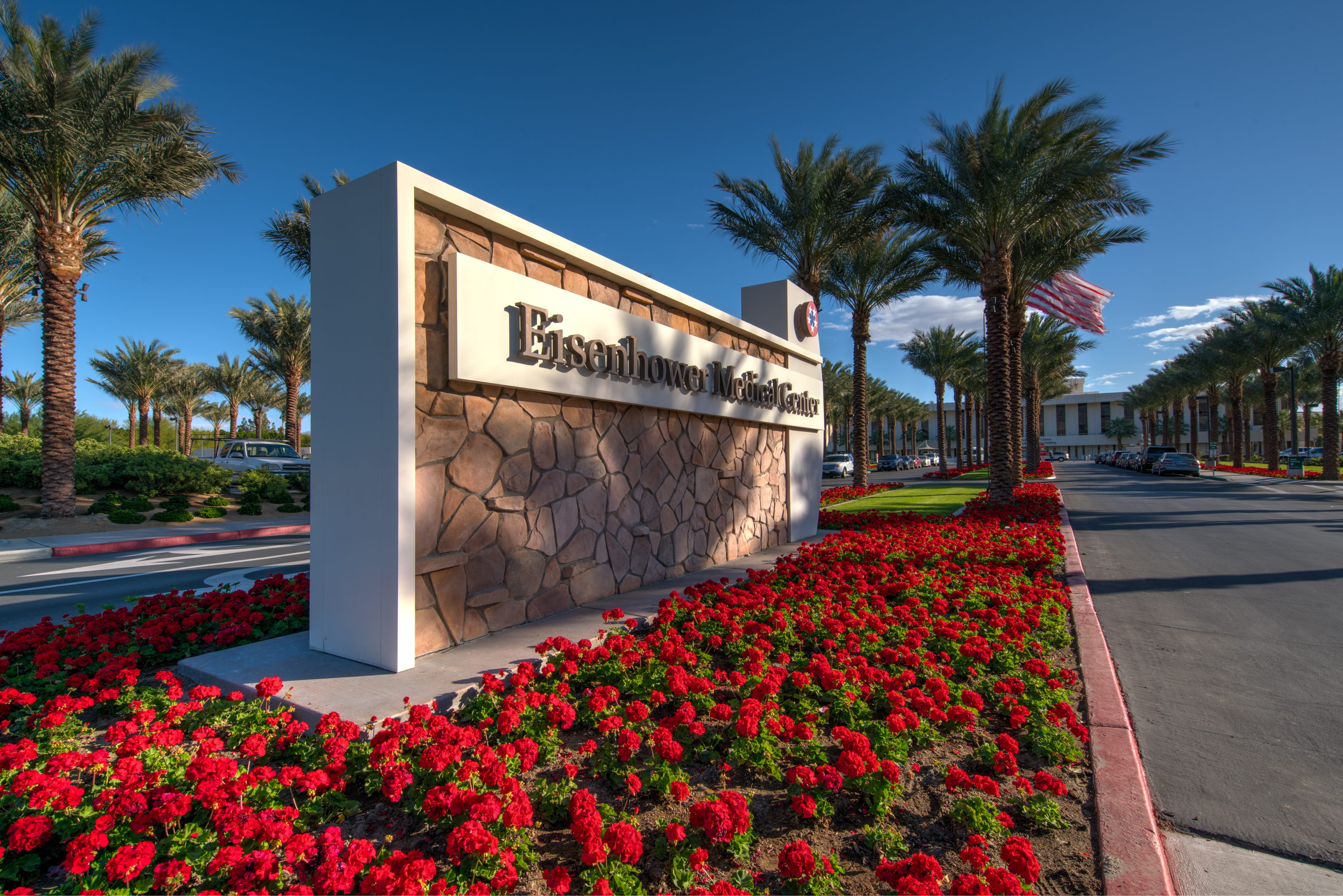 The Benefits of Annual Flowers