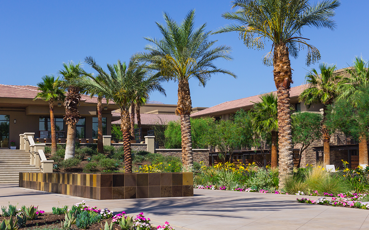 Landscape Construction