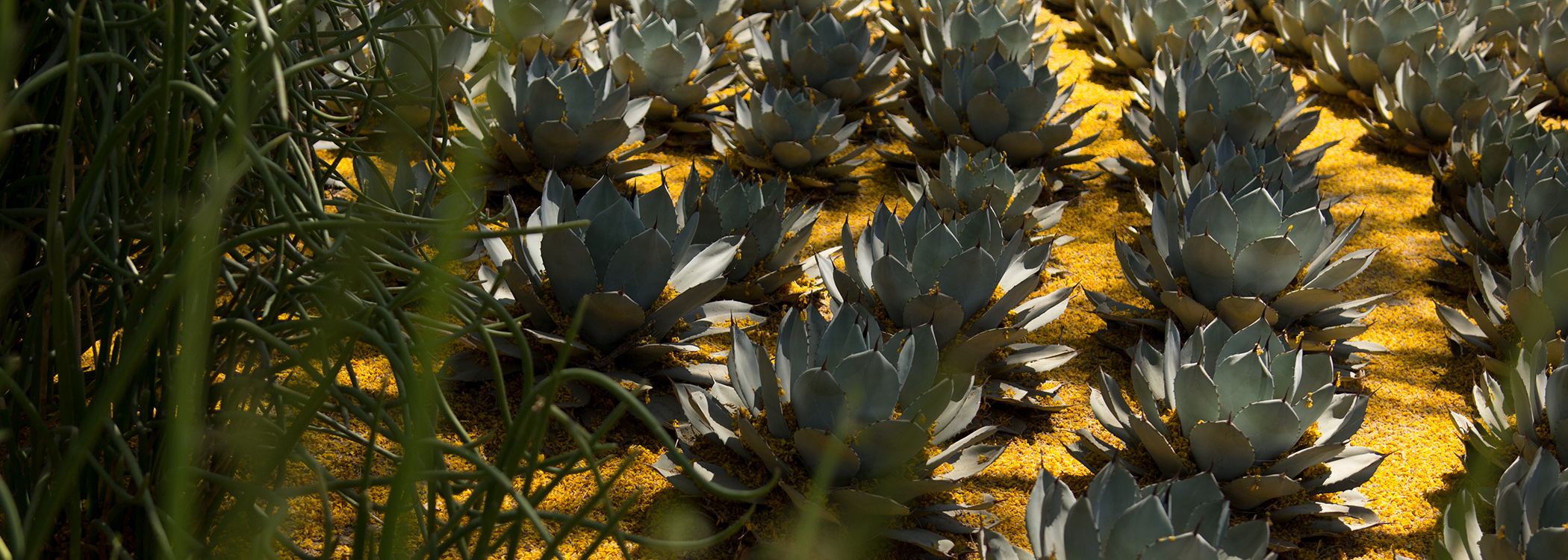 Irrigation & Water Conservation