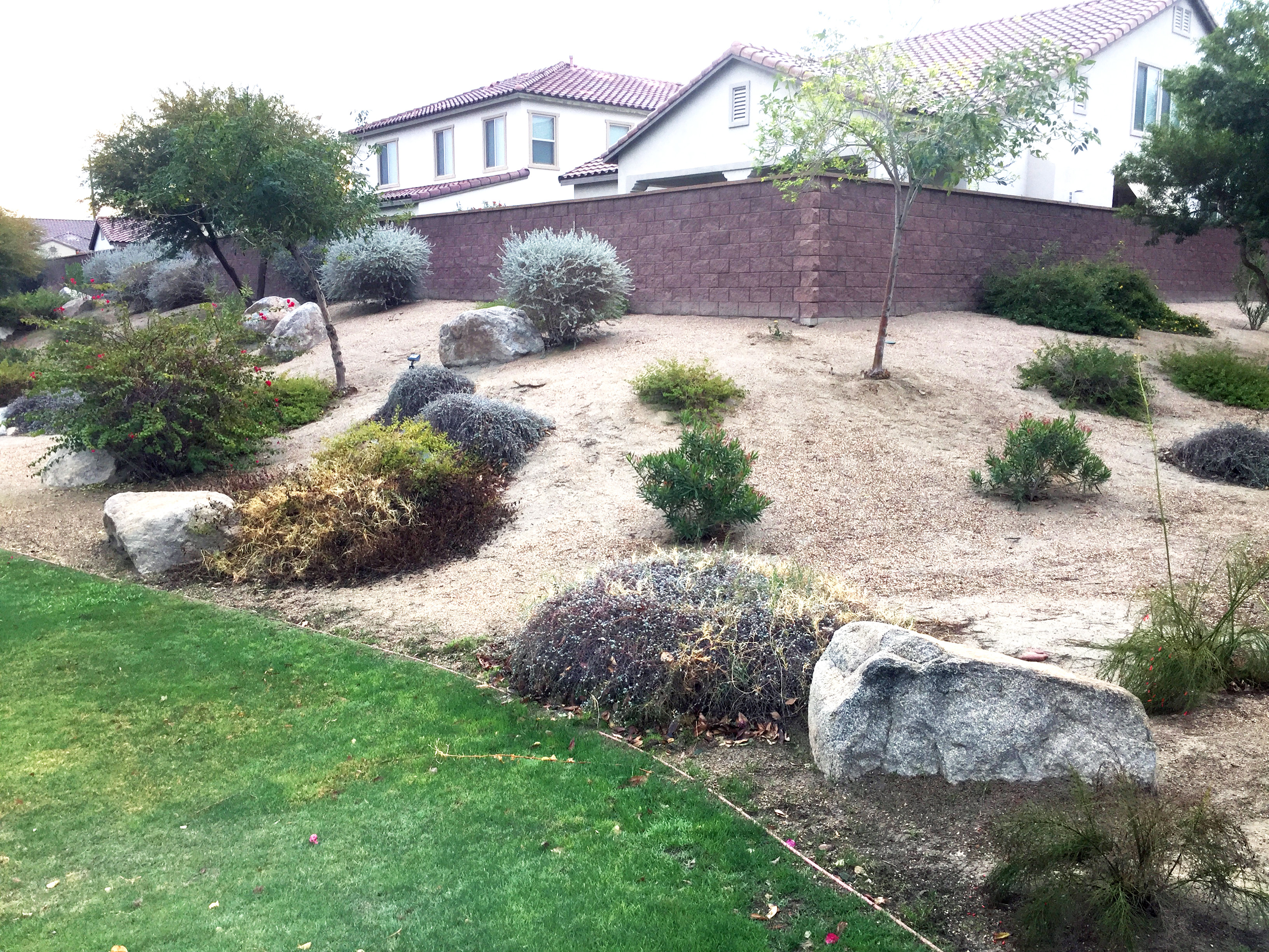 Prior to hard spring pruning