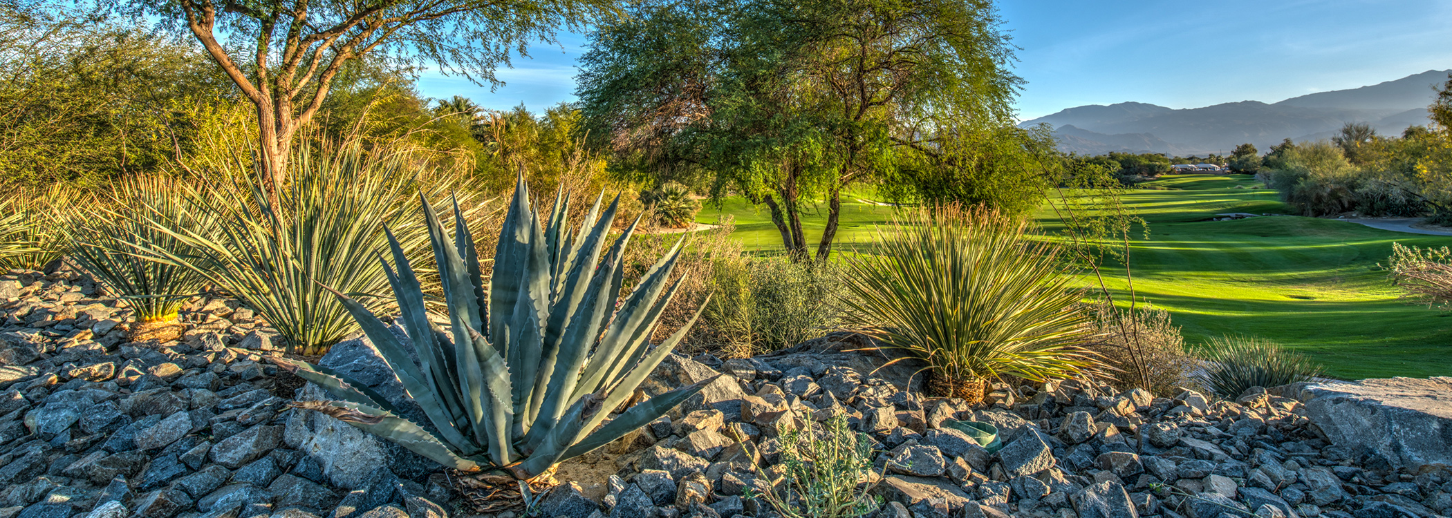 Westin Desert Willow